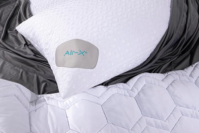 Bedgear Dri-Tec Performance Pillow Protector, Moisture-Wicking Cooling Pillow Cover with Airflow Technology | Breathable, Protective Pillowcase with Zipper | Machine Washable Pillow Protector, King