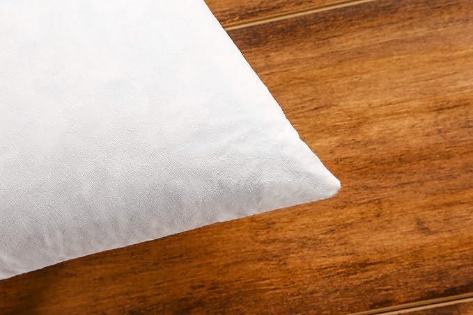 JA COMFORTS 24×24 Premium Goose Down Feather Throw Pillow Inserts(Set of 2)-5% Down Filling,High Filling Weight,250 TC Cotton Cover, Square, White