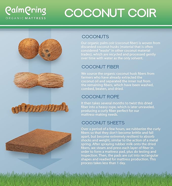 NATURAL LIFE PALMPRING Kochi Full Mattress - Organic Latex Coconut Coir 6” Medium Firm 2 Layer Comfortable Sleep Bed Dust Free