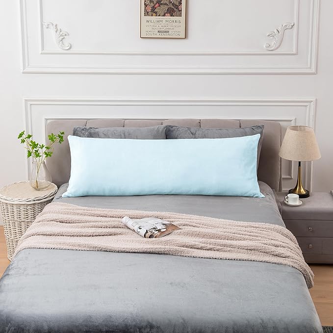 BEDELITE Body Pillow Cover with Zipper Closure, Super Soft and Cozy Fuzzy Fleece Pillowcase 20 x 54 Inches, Luxury Fluffy Plush Long Body Pillow Pillowcase for All Seasons(Blue)