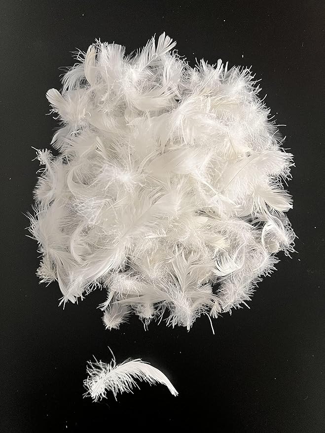 Bulk Goose Down Feather Stuffing & Fill – Hypoallergenic Pillow Filling, Repair, Restuff, Fluff for Couch Cushions, Comforters, Jackets5/95-1Lb DIY