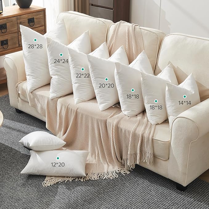APSMILE Down Feather Throw Pillow Inserts, 22x22 Pillows Set of 2 with Organic Cotton Cover, Soft Square Decorative Pillows for Couch Living Room, Sofa, and Bed（White）