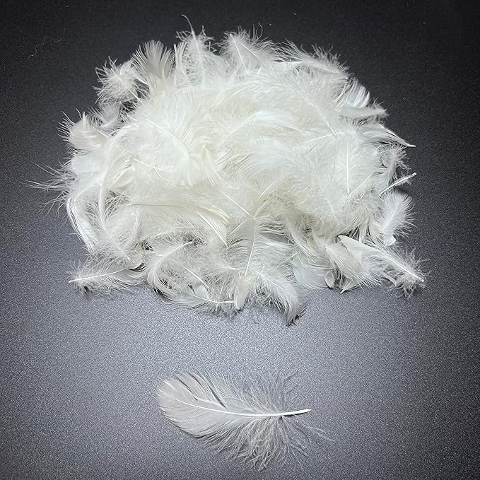 Bulk Goose Down Feather Stuffing & Fill – Hypoallergenic Pillow Filling, Repair, Restuff, Fluff for Couch Cushions, Comforters, Jackets5/95-4Lb DIY